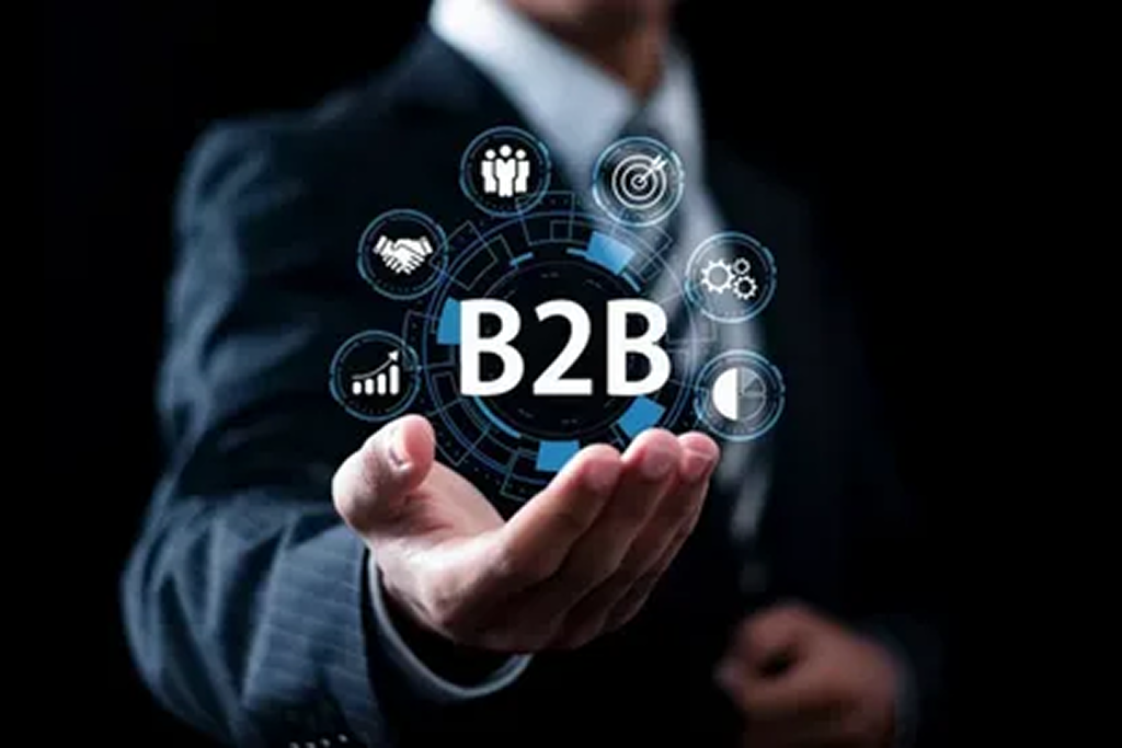 How Much Does a B2B Website Cost in India?