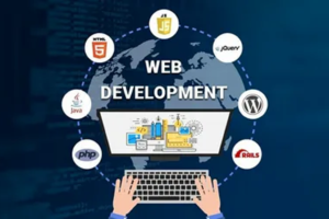 How to Choose the Best Web Development Company in India